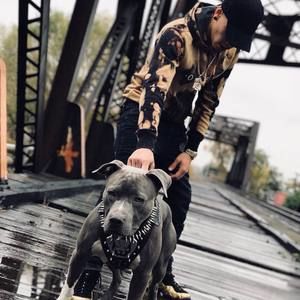 Meet your Posher, Łøuïę